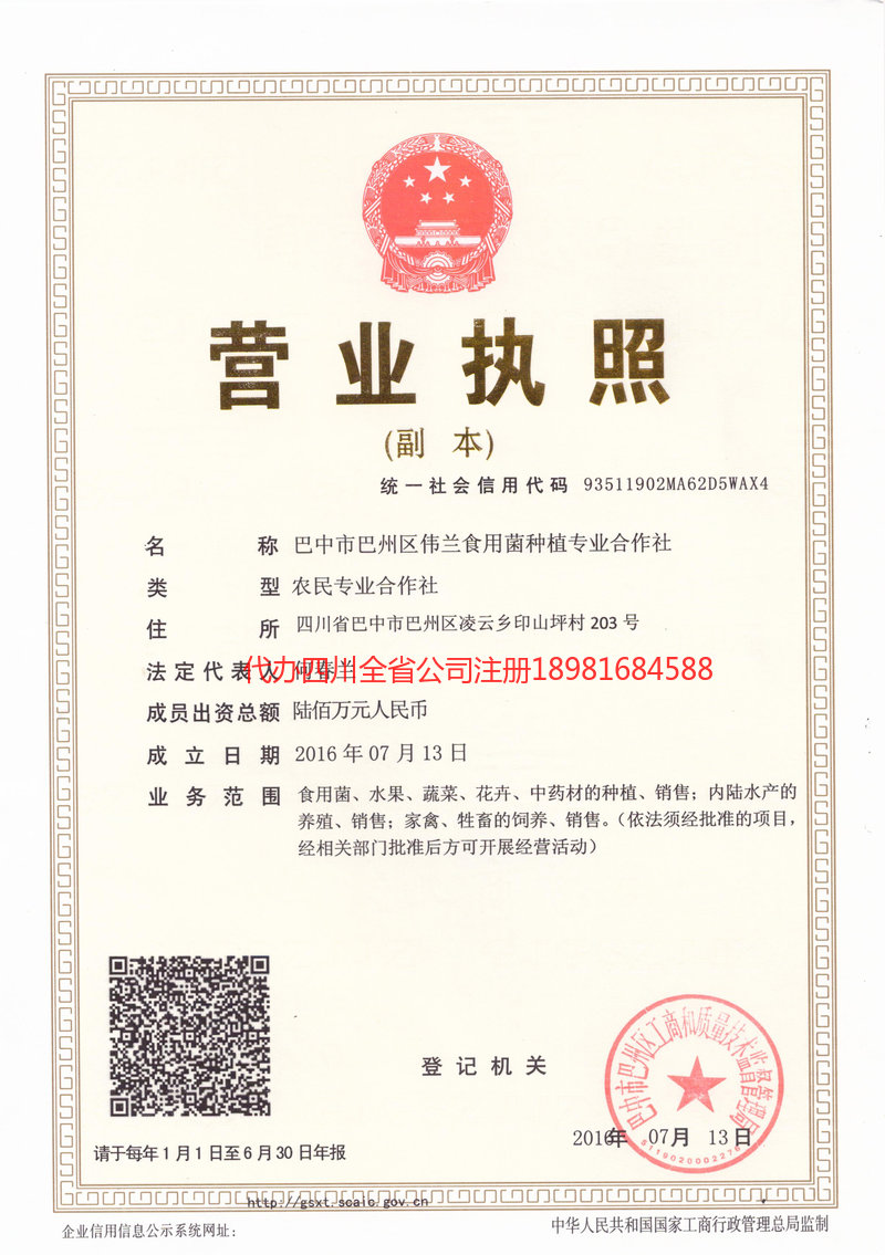 佳木斯佳木斯伟兰食用菌种植专业合作社